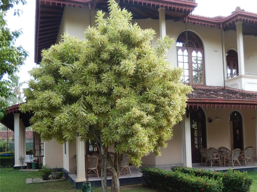 Villa Ranmenika Ahungalla Exterior photo